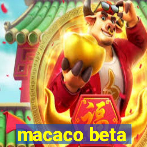 macaco beta