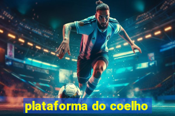 plataforma do coelho