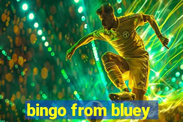 bingo from bluey