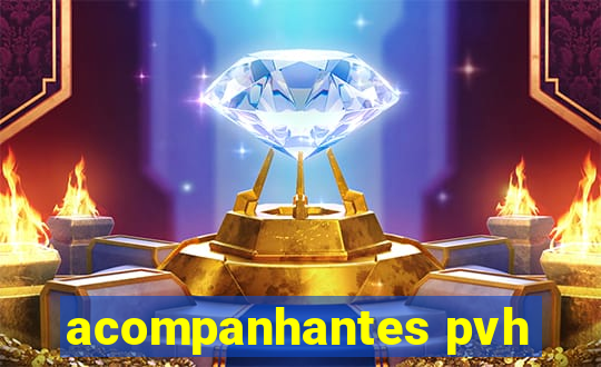 acompanhantes pvh