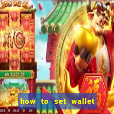 how to set wallet password in bingo plus