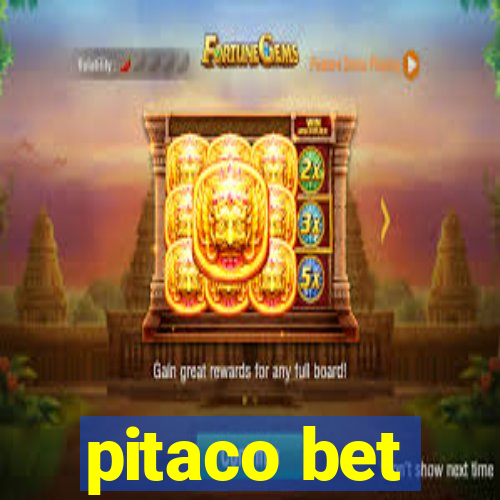 pitaco bet