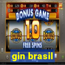 gin brasil