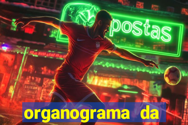 organograma da cacau show