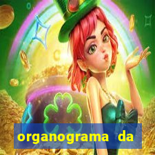 organograma da cacau show