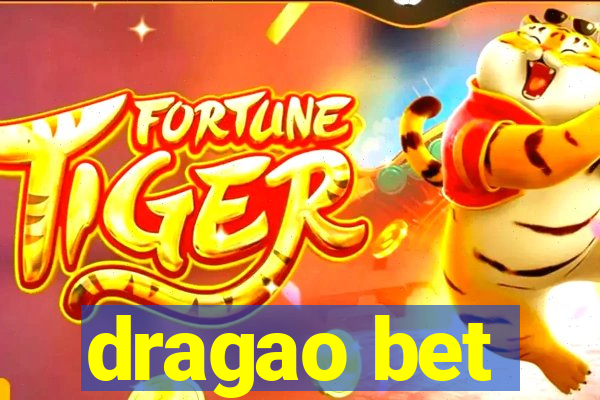 dragao bet