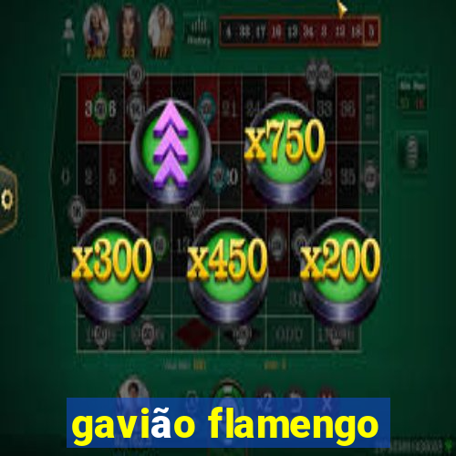 gavião flamengo