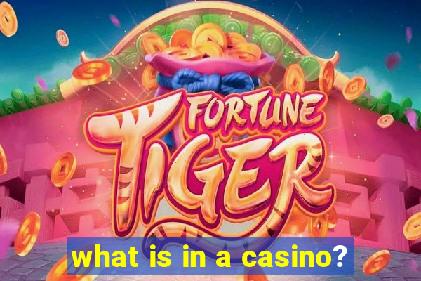 what is in a casino?