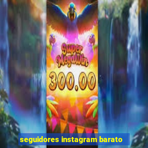 seguidores instagram barato