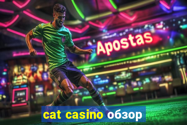 cat casino обзор