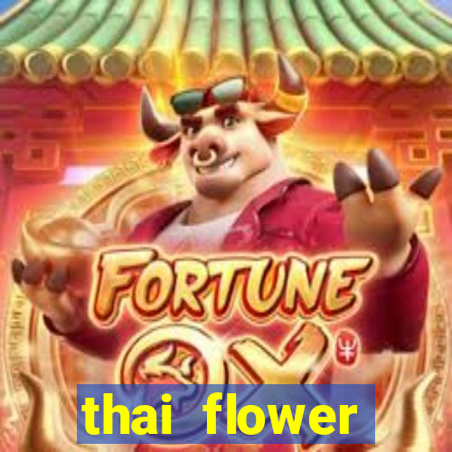 thai flower megaways slot online