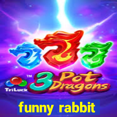 funny rabbit