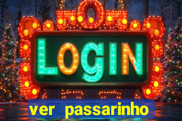 ver passarinho morto significado