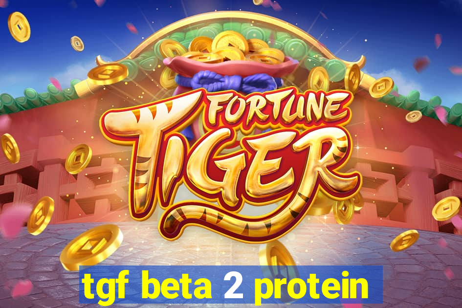 tgf beta 2 protein