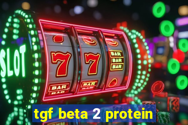 tgf beta 2 protein