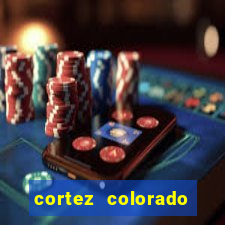 cortez colorado casino fire