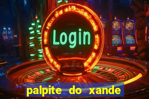 palpite do xande de hoje