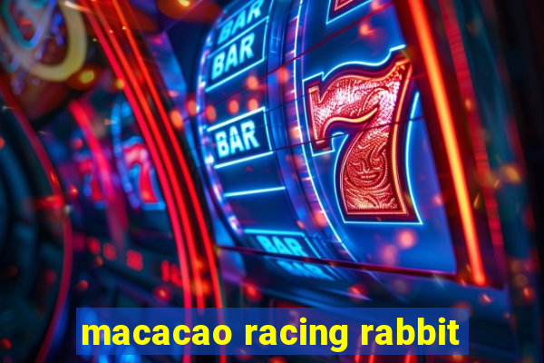 macacao racing rabbit