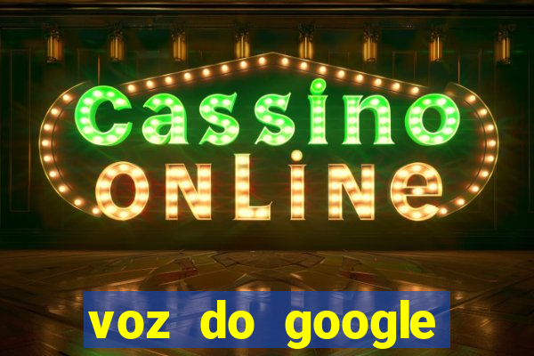 voz do google tradutor homem