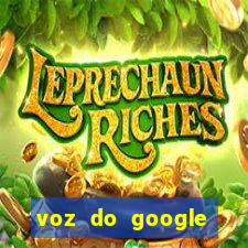 voz do google tradutor homem