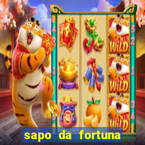 sapo da fortuna feng shui