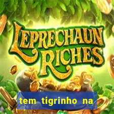 tem tigrinho na bet 365