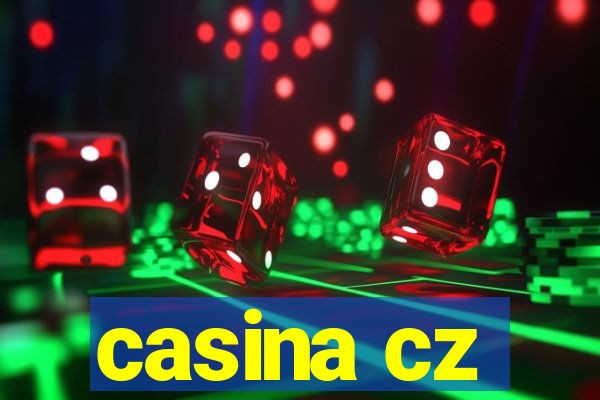 casina cz