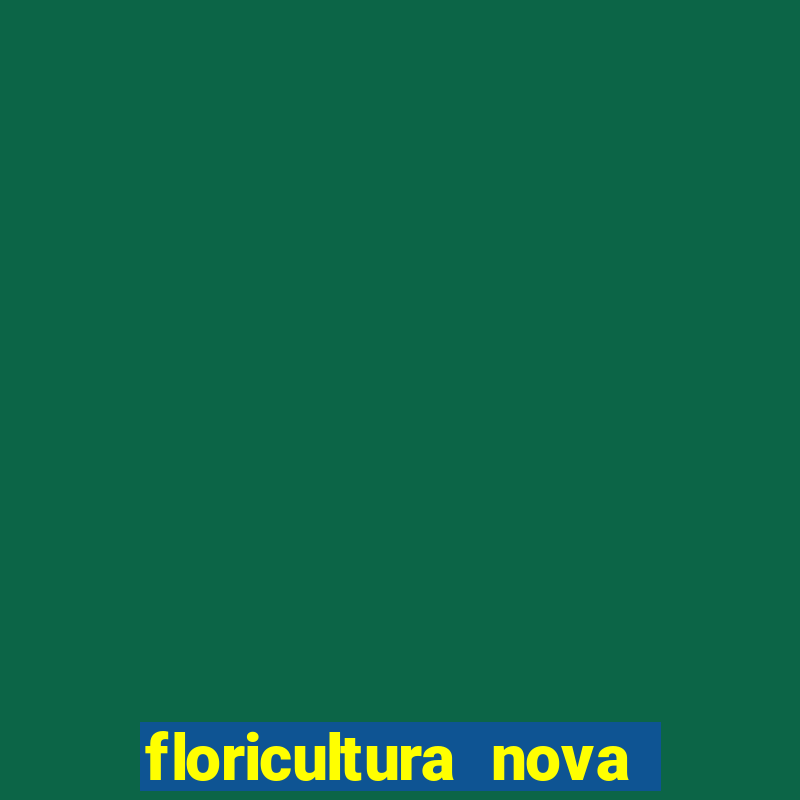 floricultura nova flor videira