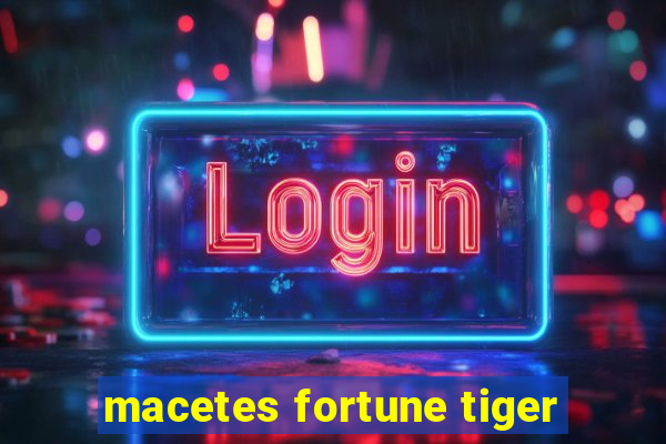 macetes fortune tiger