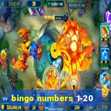 bingo numbers 1-20