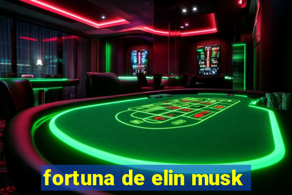 fortuna de elin musk