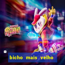 bicho mais velho da loteria dos sonhos