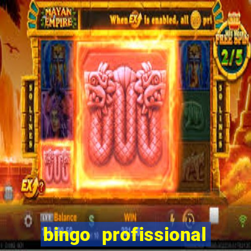 bingo profissional n 3