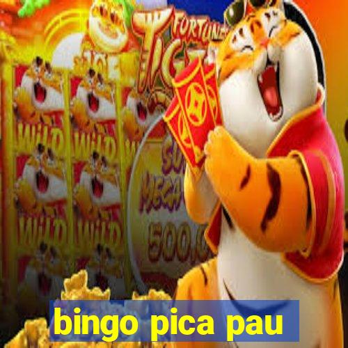 bingo pica pau