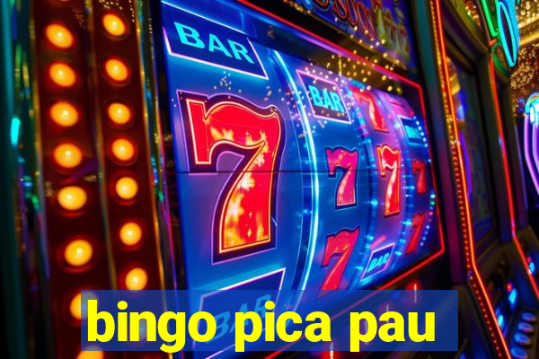 bingo pica pau