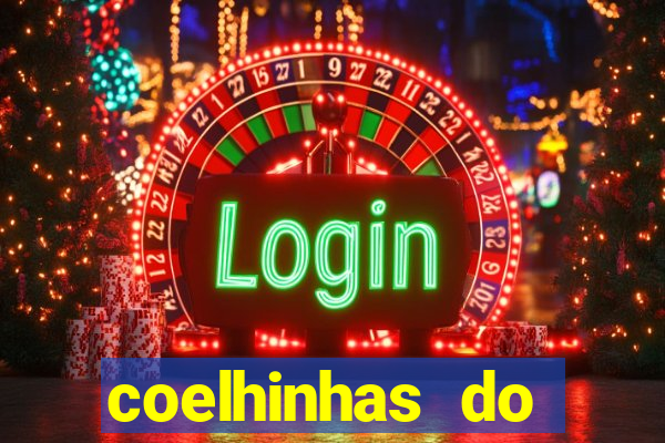 coelhinhas do brasil acompanhantes