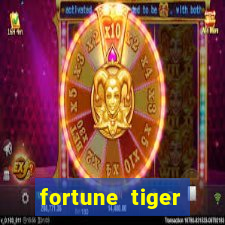 fortune tiger horarios pagantes madrugada