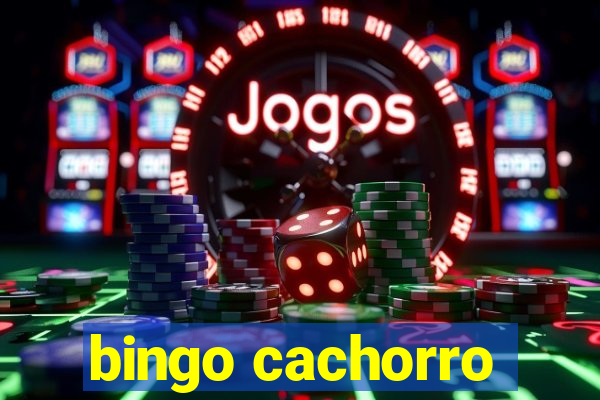 bingo cachorro