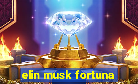 elin musk fortuna