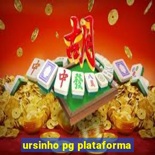 ursinho pg plataforma