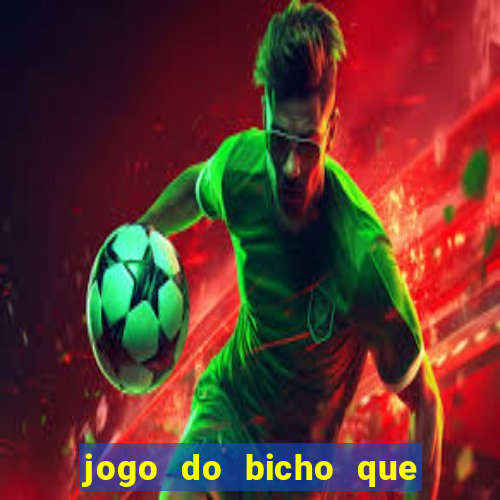 jogo do bicho que da dinheiro