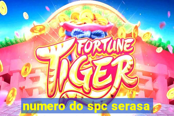 numero do spc serasa