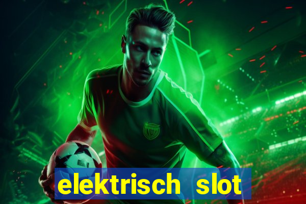 elektrisch slot houten poort