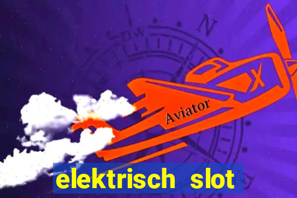 elektrisch slot houten poort