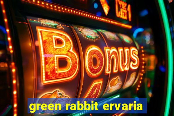 green rabbit ervaria