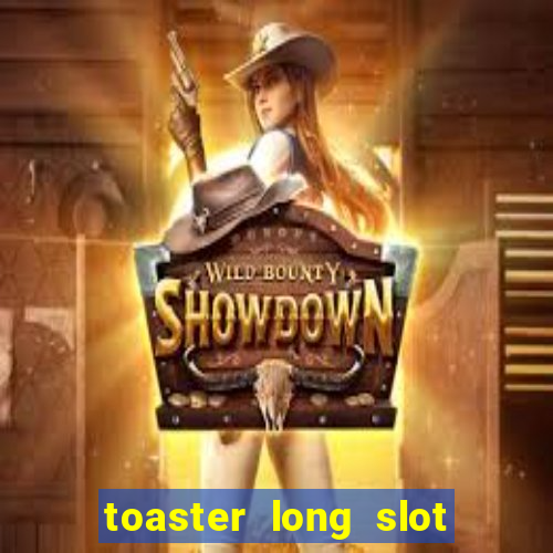 toaster long slot 2 slice