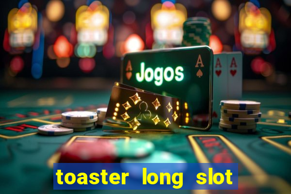 toaster long slot 2 slice