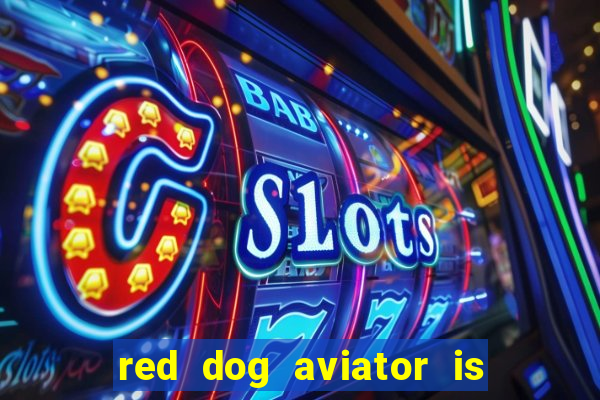 red dog aviator is real or fake