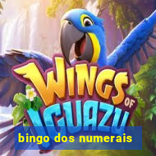 bingo dos numerais