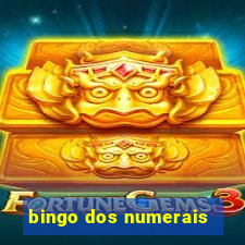 bingo dos numerais